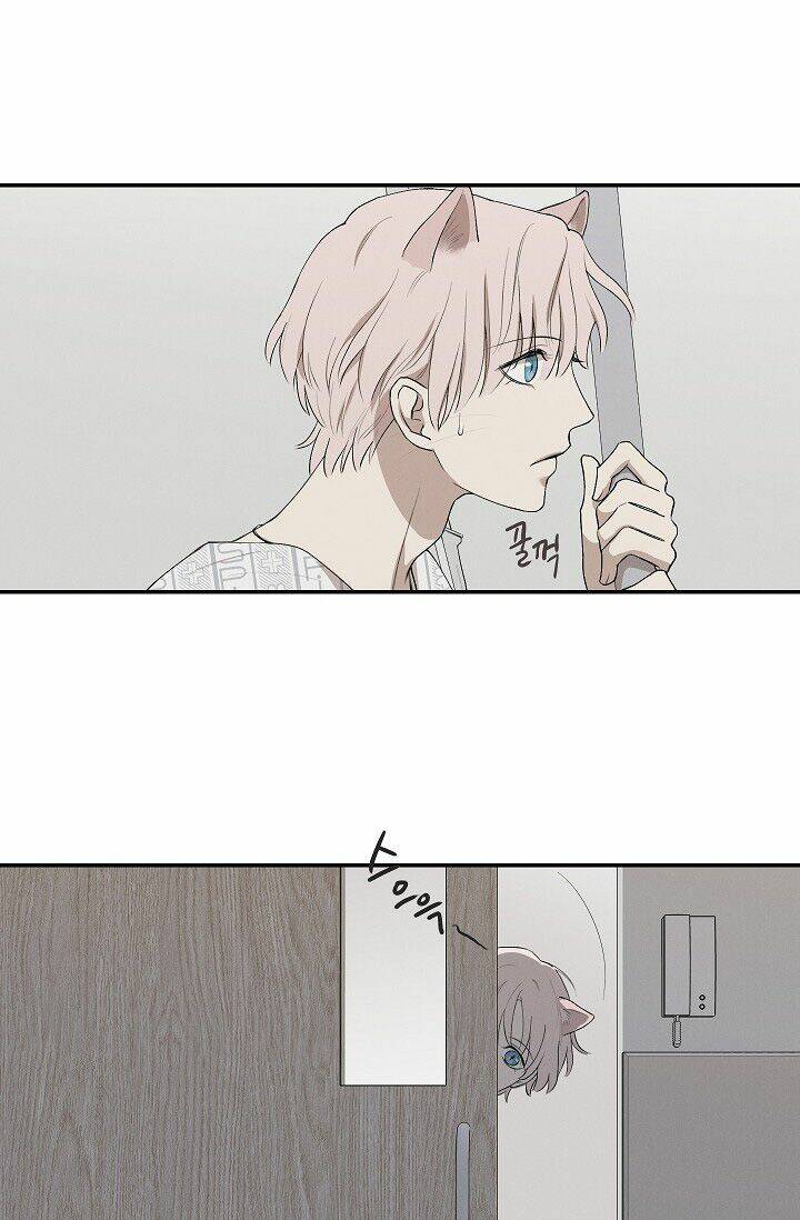 trốn tìm chapter 34 40