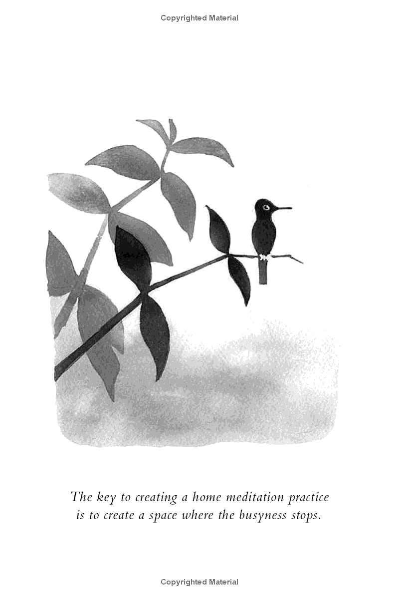 Sách ngoại văn: Making Space : Creating a Home Meditation Practice