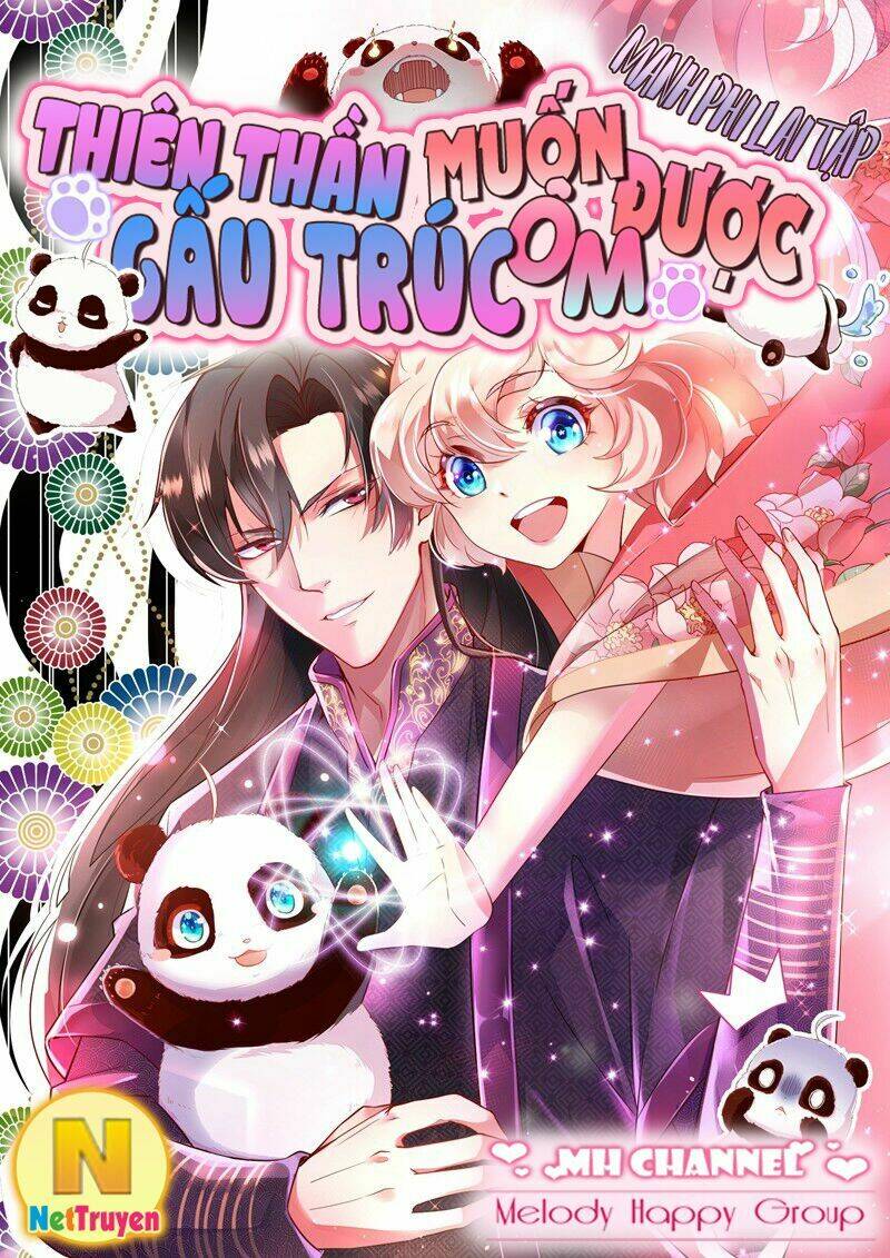 thiên thần gấu trúc muốn được ôm chapter 43 2