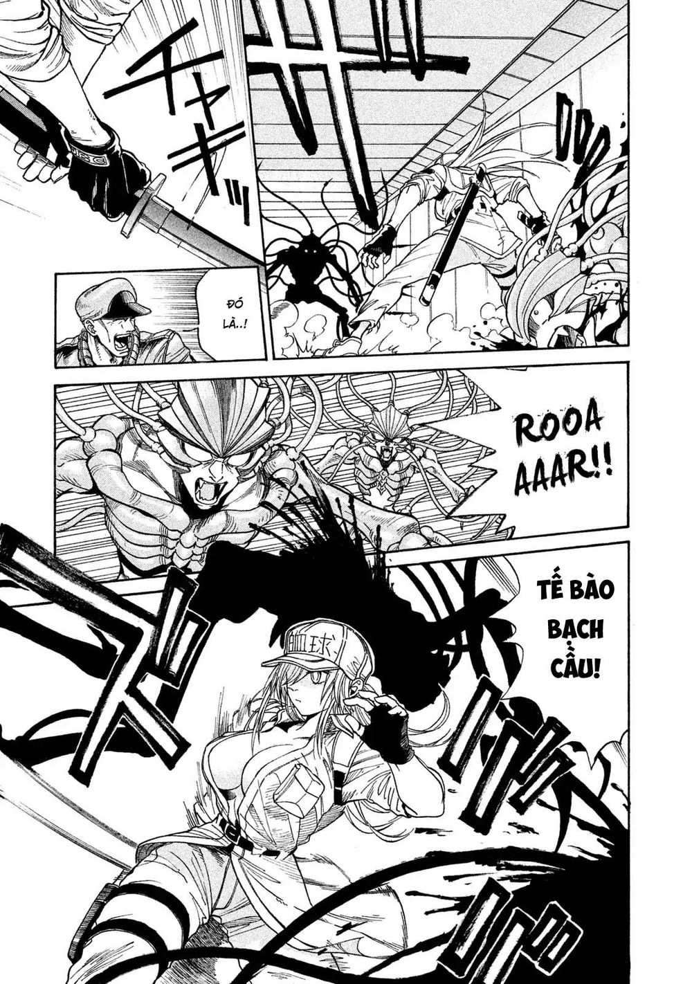 biệt đội tế bào black - hataraku saibou black chapter 1.1 23