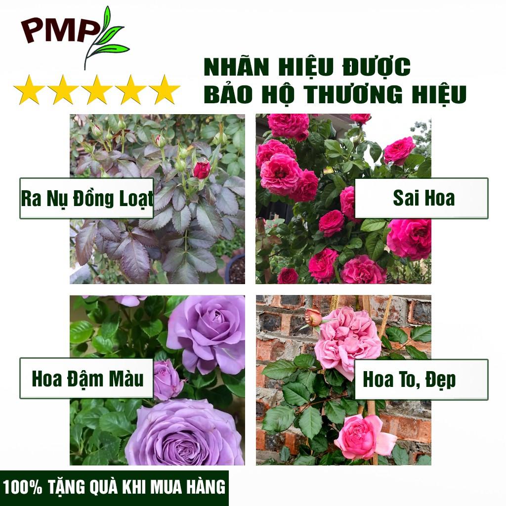 Combo 2 Chai Dịch Chuối Humic PMP Vi Sinh Chuyên Dùng Cho Hoa Hồng, Rau Sạch 1L/Chai