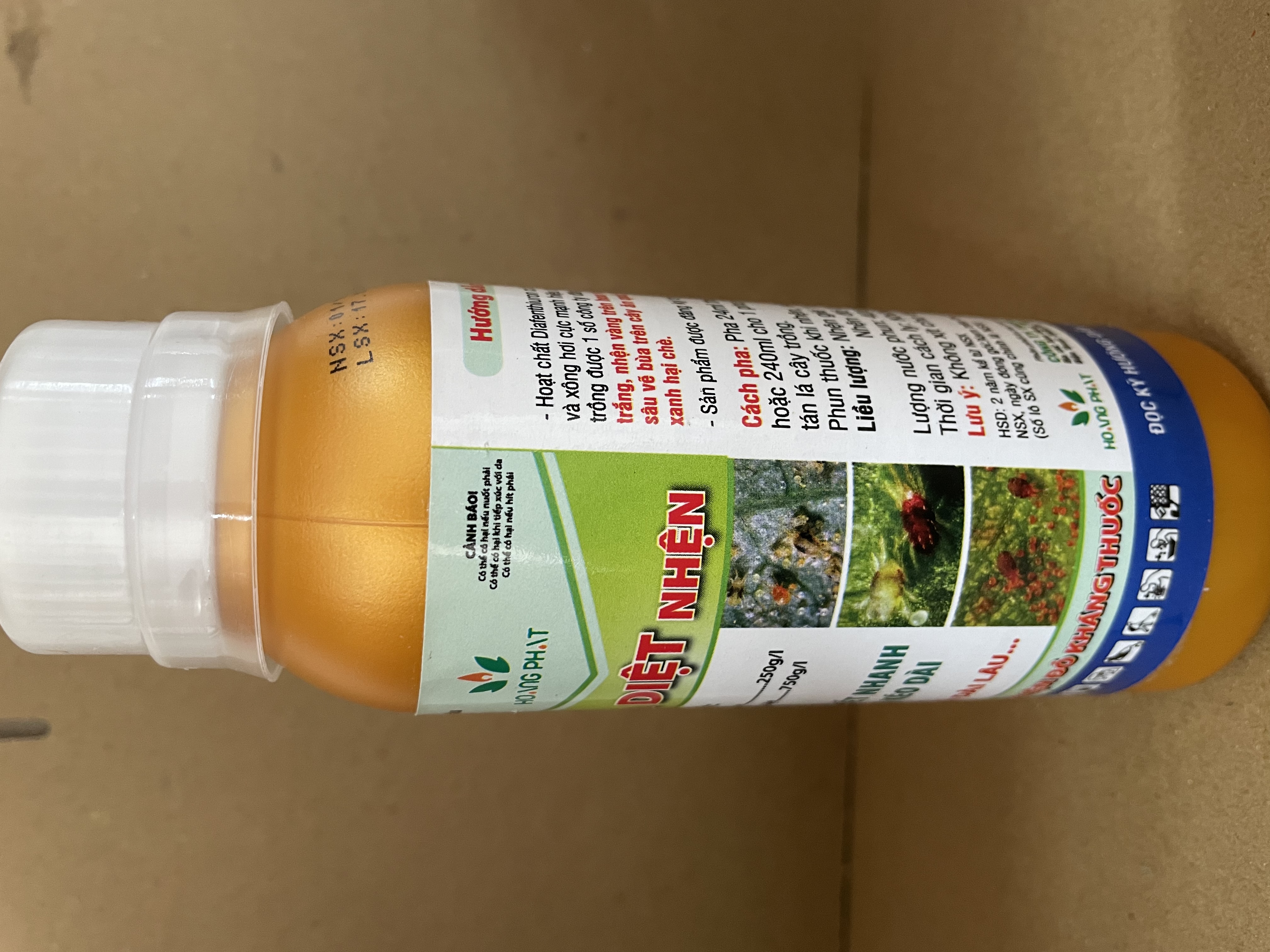 Vua Diệt Nhện