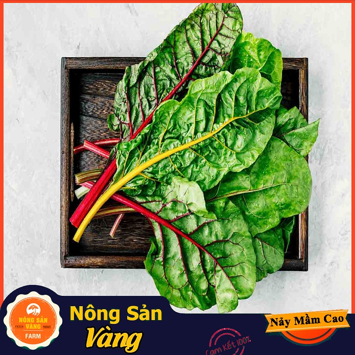 Hạt giống Cải Cầu Vồng
