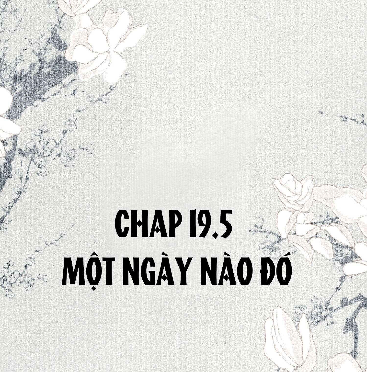 không cẩn thận cứu phải kẻ thù của giang hồ chapter 19.5 2