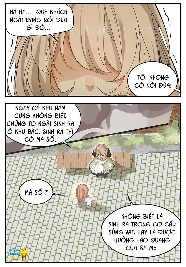 cứu mạng ! loài mèo thống trị thế giới rồi ! chapter 12 5