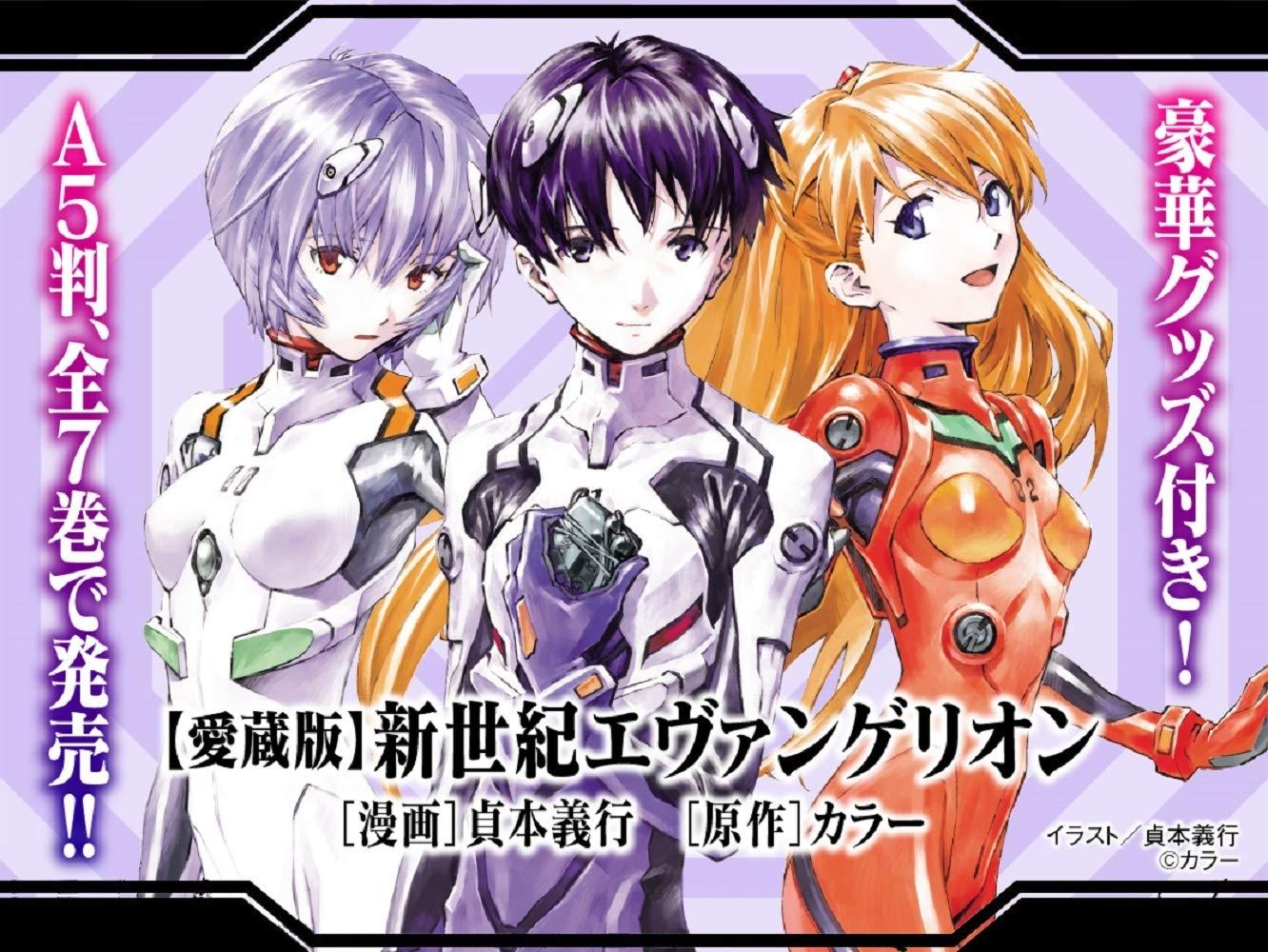 Neon Genesis Evangelion 1 (Collector's Edition) (Japanese Edition)