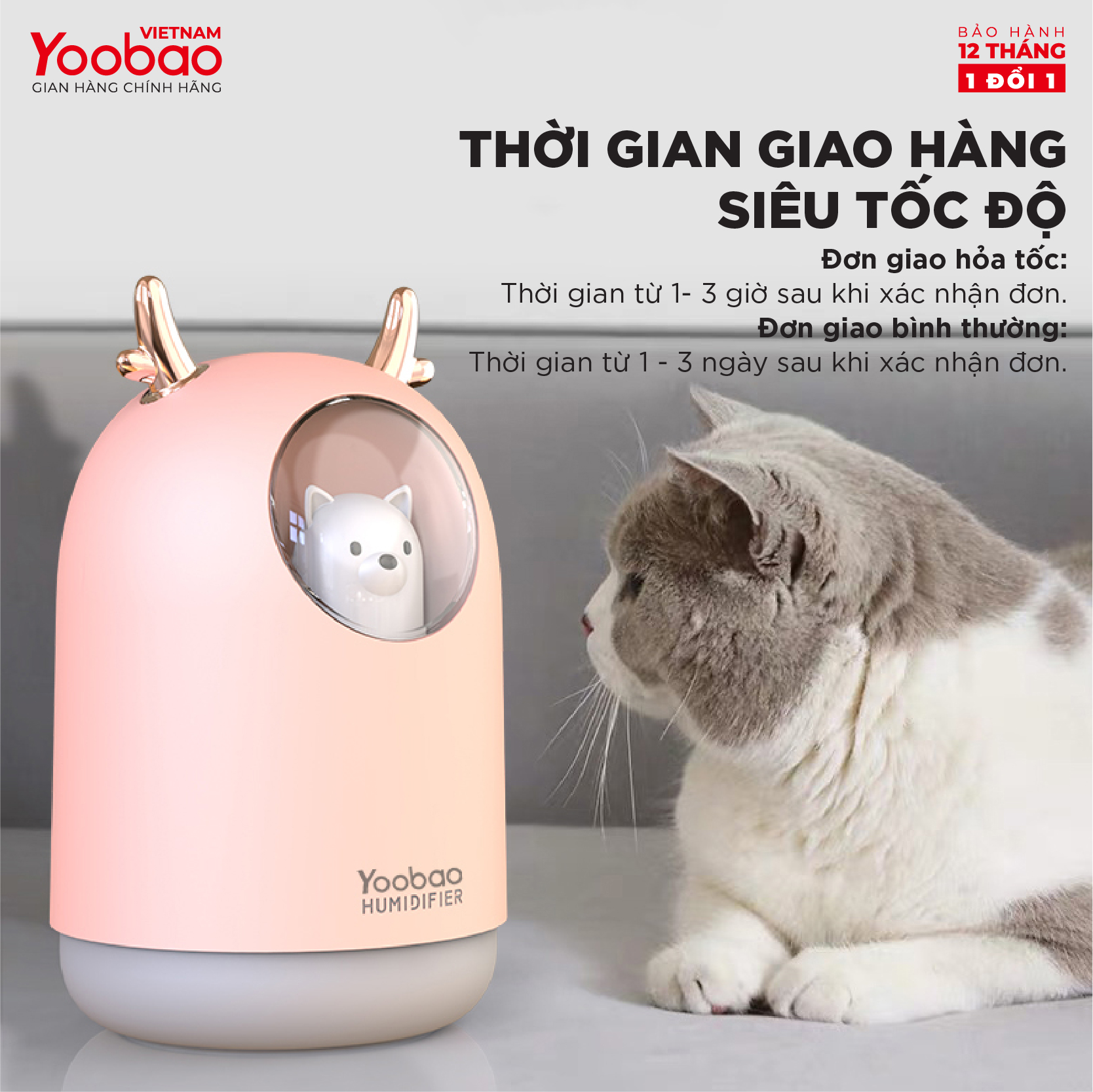 Máy phun sương tạo độ ẩm YOOBAO M106 - Dung tích 300ml - Chống khô da - Hàng chính hãng