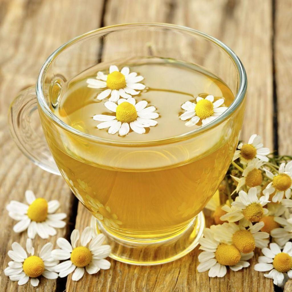 Hạt Giống Trà Hoa Cúc Phú Nông - 3gr/gói