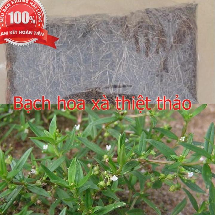 Bạch hoa xà thiệt thảo sấy khố 1kg