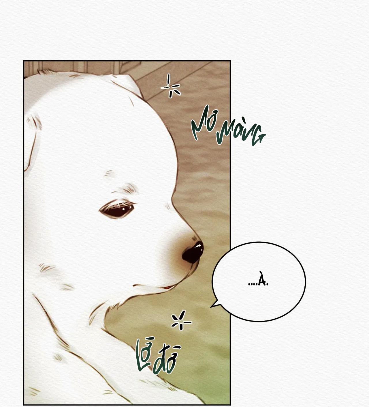 qủy dạ khúc chapter 13 6