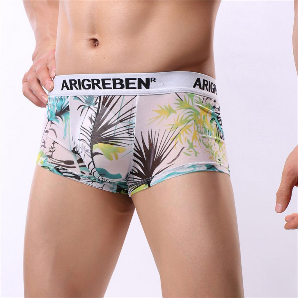 Mens Sexy Sheer Mesh Net Underwear Boxer Briefs Flower Underpants