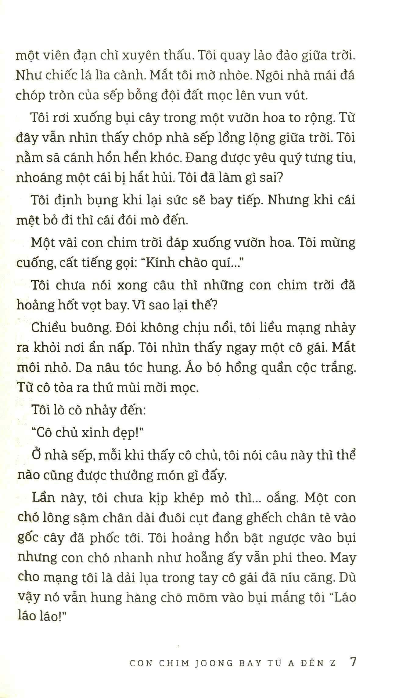 Sách Con Chim Joong Bay Từ A Đến Z