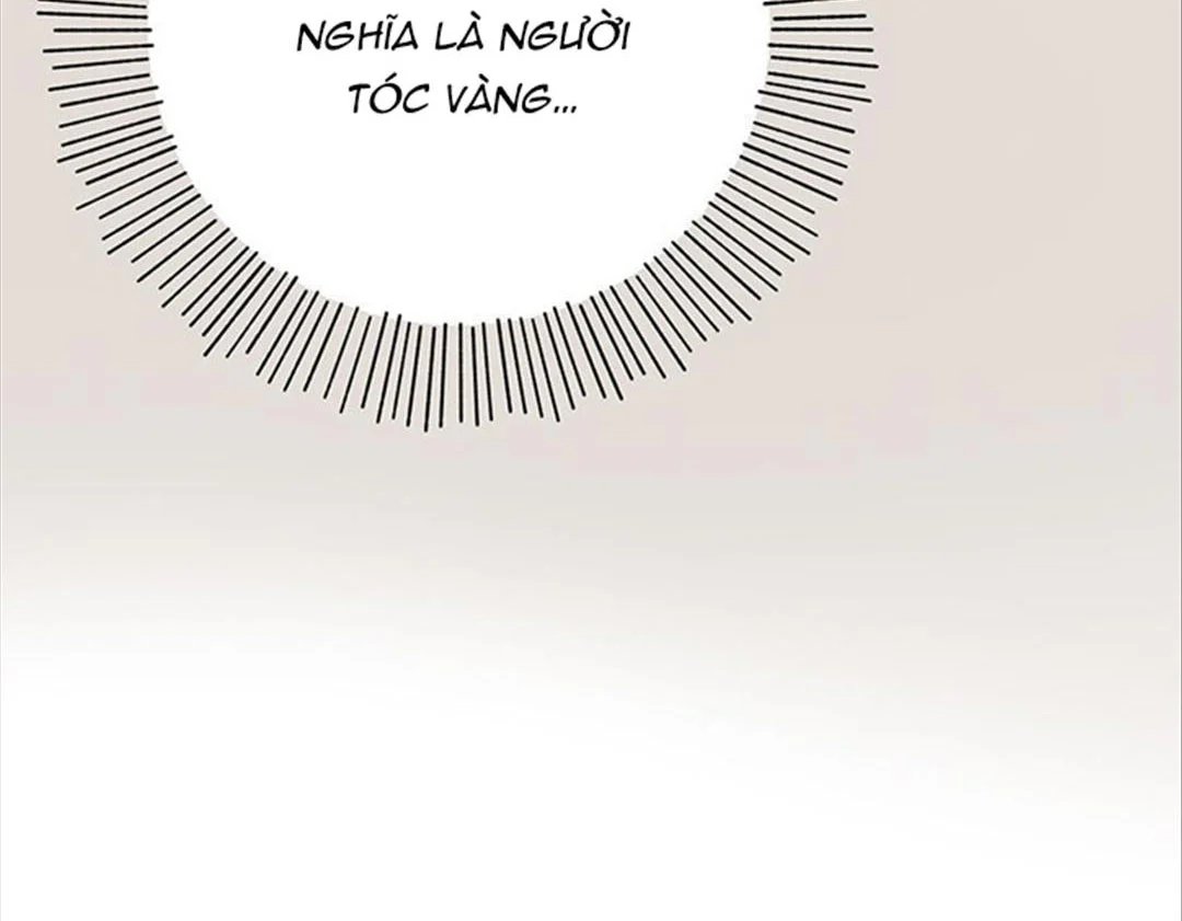 chuyện quái gì với giấc mơ đó vậy chapter 35 29