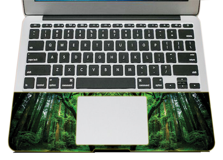 Mẫu Dán Trang Trí Mặt Ngoài + Lót Tay Laptop Thiên Nhiên LTTN - 148