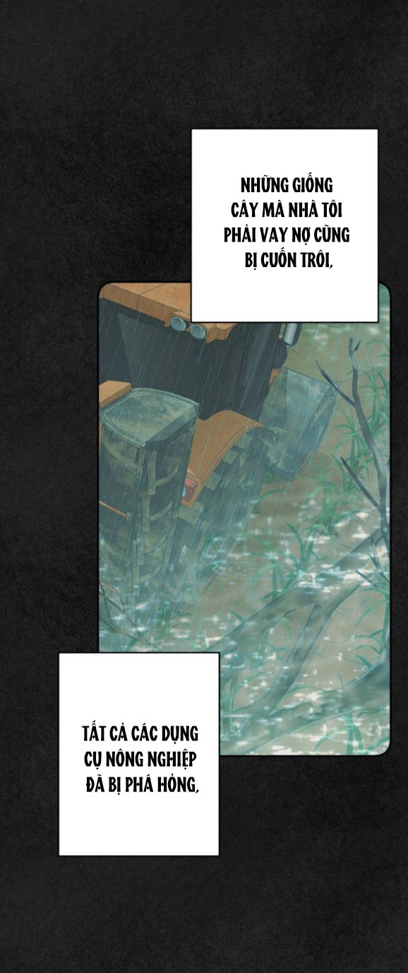 bóng râm mùa xuân chapter 8.1 13