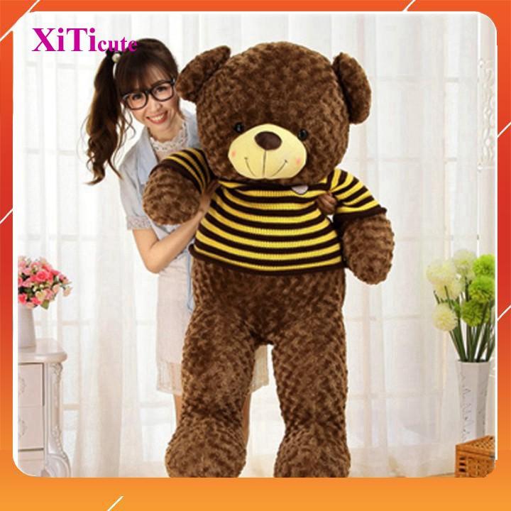 Thú nhồi bông gấu Teddy SIÊU TO khổng lồ dùng để làm quà tặng người thương, gối ôm hoặc vật trang trí trong nhà