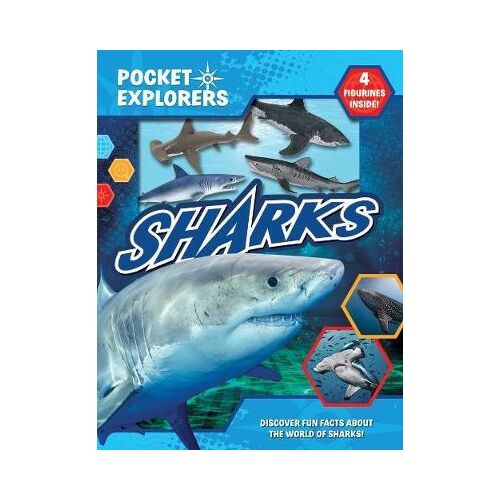 Sharks Pocket Explorers