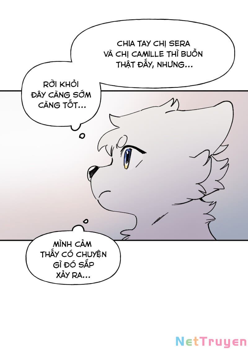 lumine - cội nguồn ánh sáng chapter 113 13