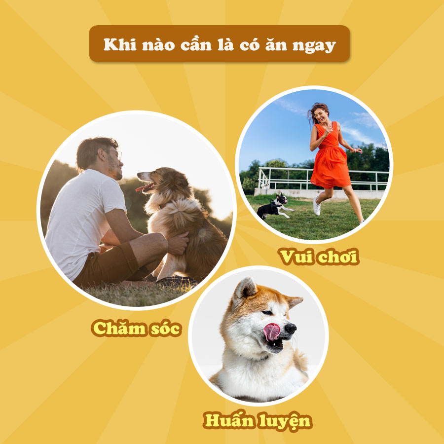 Xúc Xích Gà Sấy Cho Chó 80gr - DoggyMan