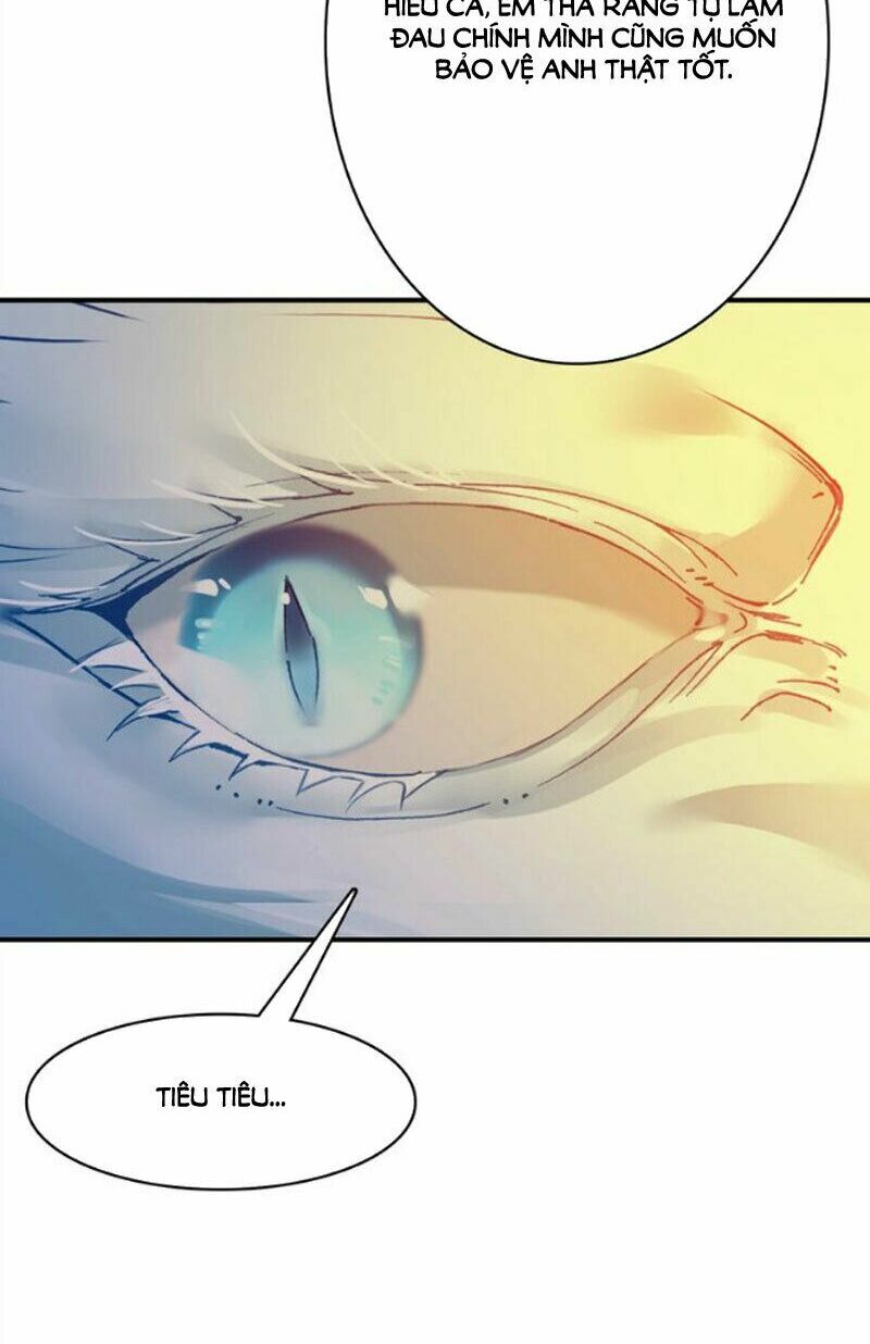 Ái Thượng Ngạo Kiều Long Vương Gia chapter 51 - Trang 12