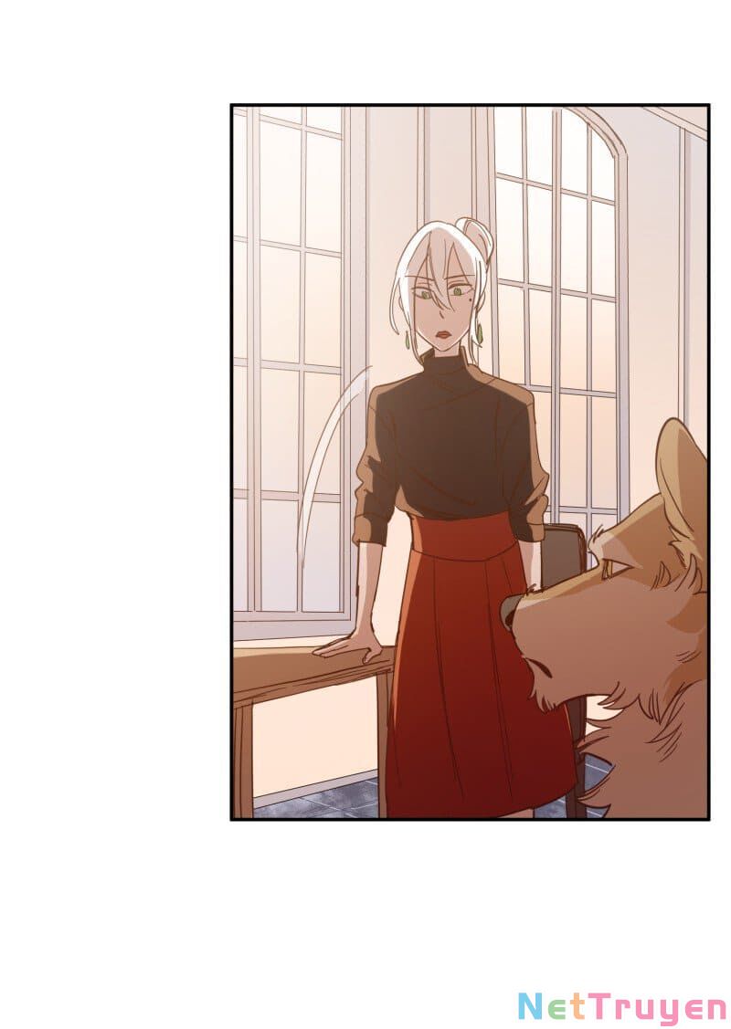 lumine - cội nguồn ánh sáng chapter 73 37