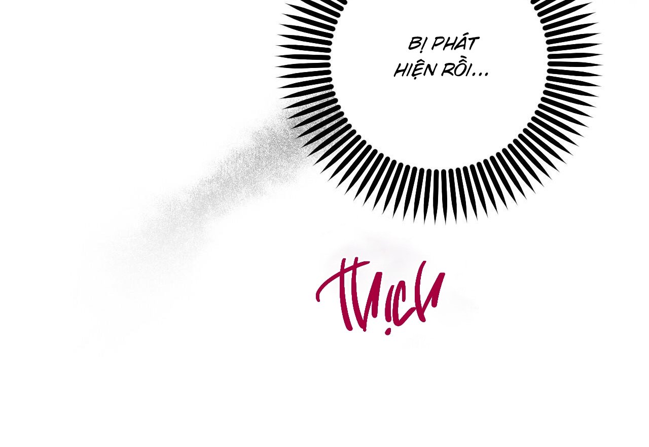 những chú thỏ của hapypy chapter 59 207