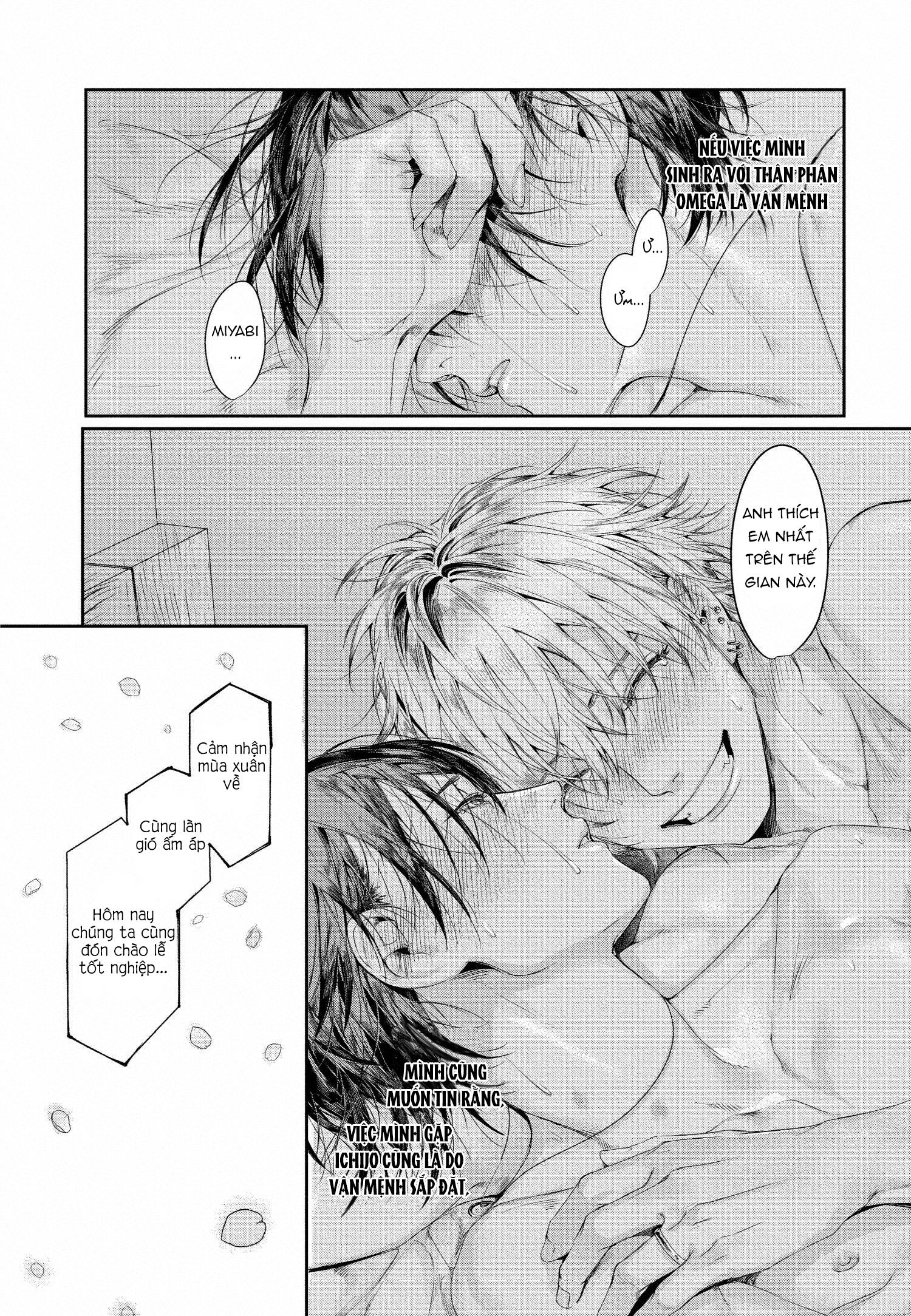 xin đừng buông tay em chapter 5 36