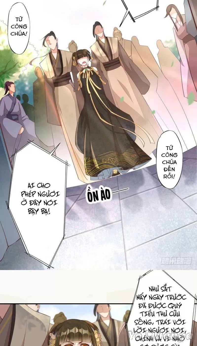 tuyệt thế luyện đan sư chapter 67 12