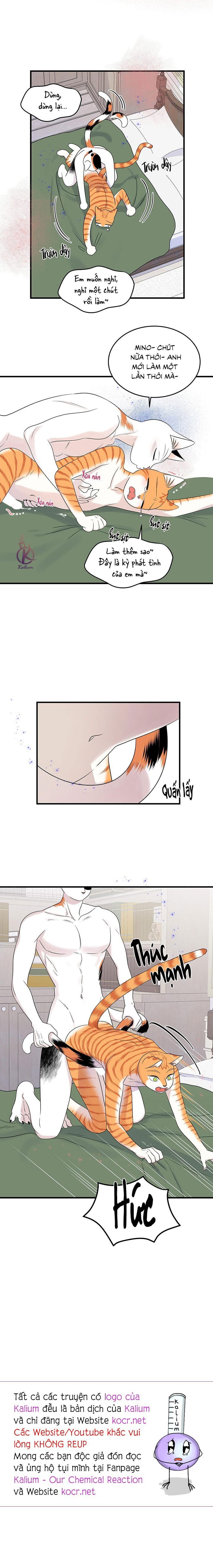 dự án xanh chapter 55 14