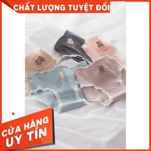 Quần Lót Nữ ️ Quần Cotton Nữ Phối Viền Họa Tiết Hình Thỏ và Gấu 485