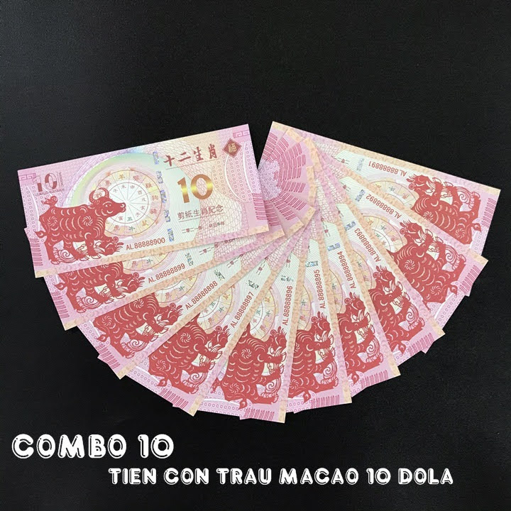 Combo 10 tờ lưu niệm 10 dola Macao hình con Trâu, dùng để sưu tầm, lưu niệm, làm tiền lì xì độc lạ, may mắn, ý nghĩa - TMT Collection - SP005058