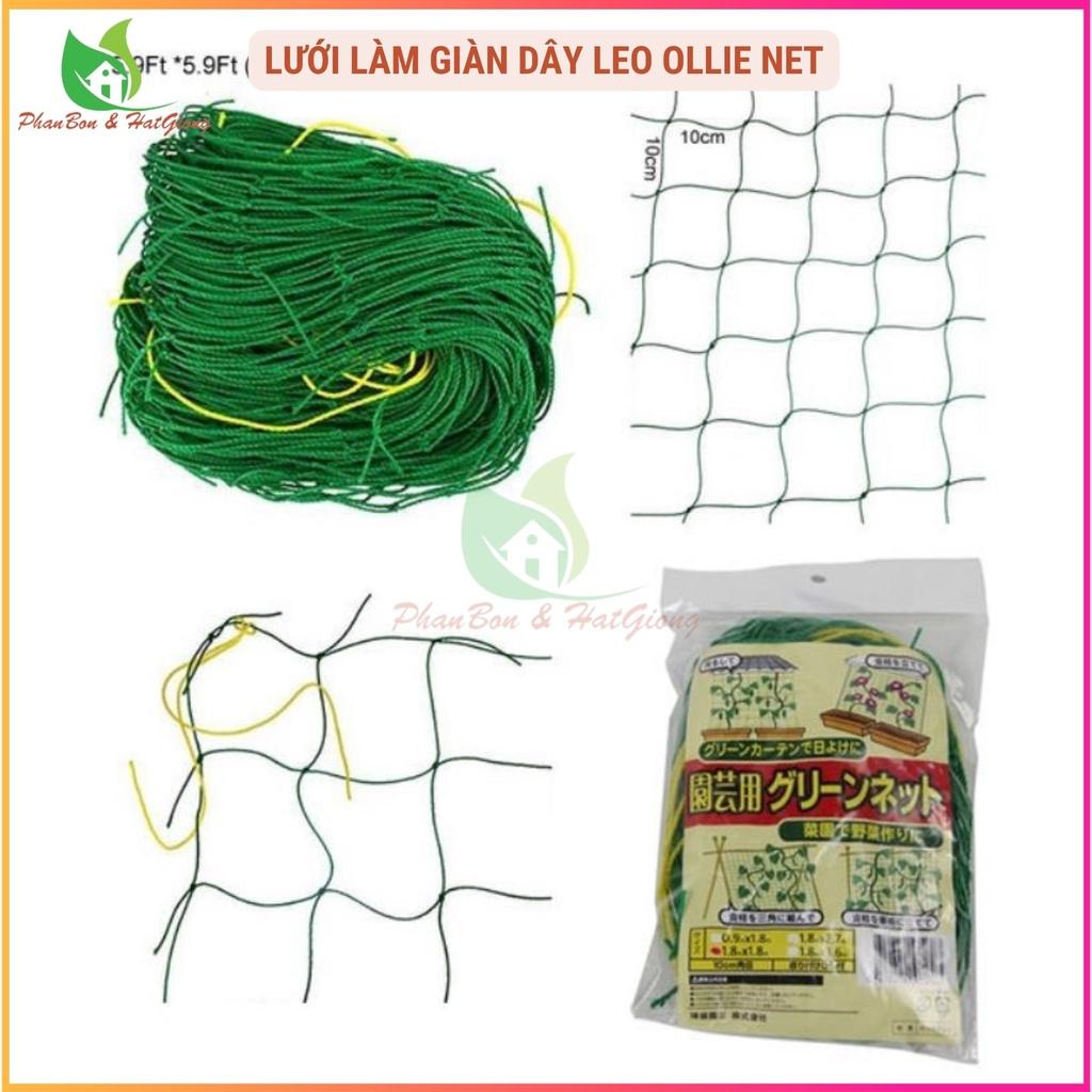 Lưới Làm Giàn Dây Leo (1,8m x 1,8m) Lưới Làm Giàn Dưa Leo, Hoa, Đậu Leo, Giàn Cây Bền Chắc-Shop Phân Bón và Hạt Giống