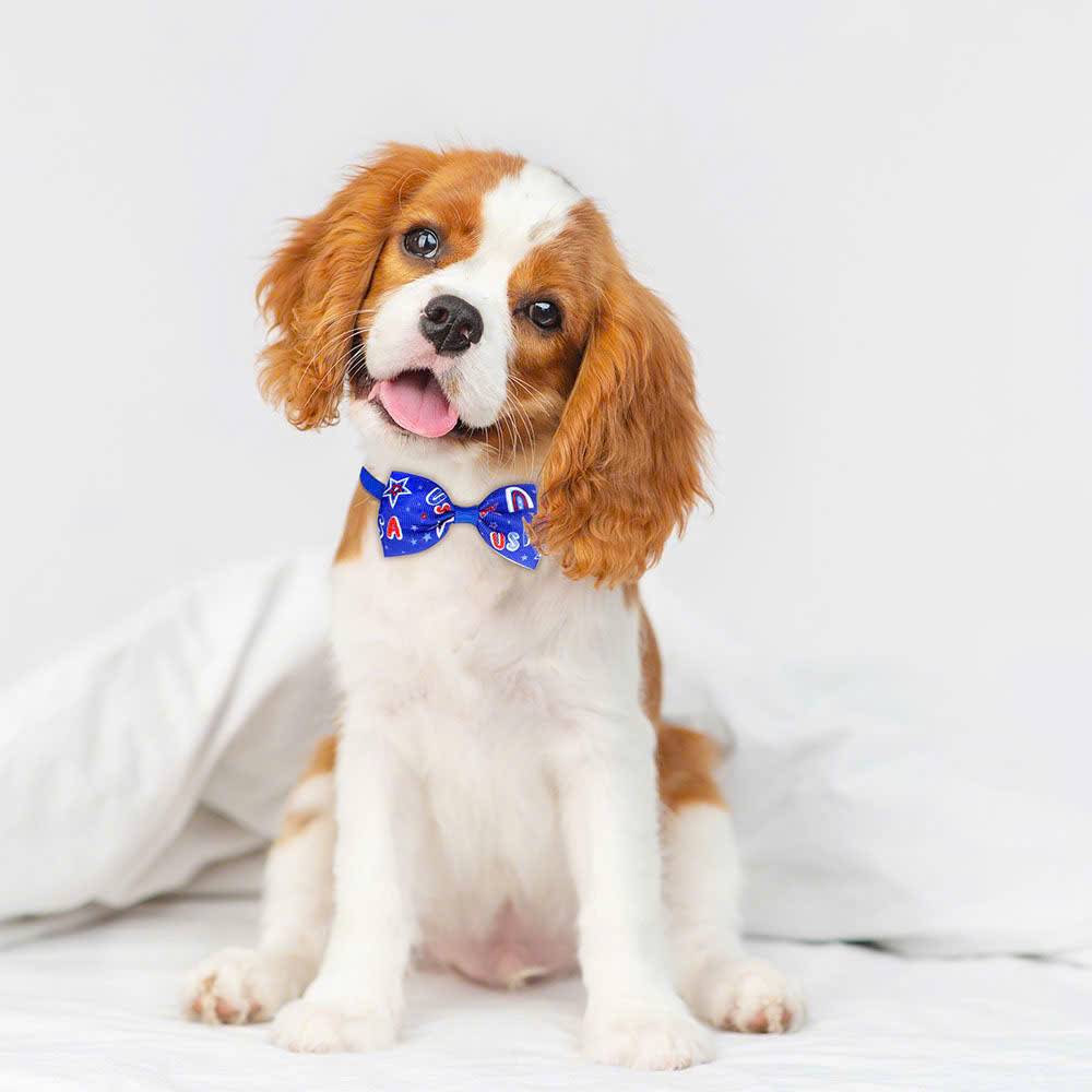 VÒNG CỔ THÚ CƯNG CHÓ MÈO NƠ DỄ THƯƠNG PHONG CÁCH MỸ SIZE 22-37CM MÃ 16 CHO THÚ CƯNG CHÓ MÈO