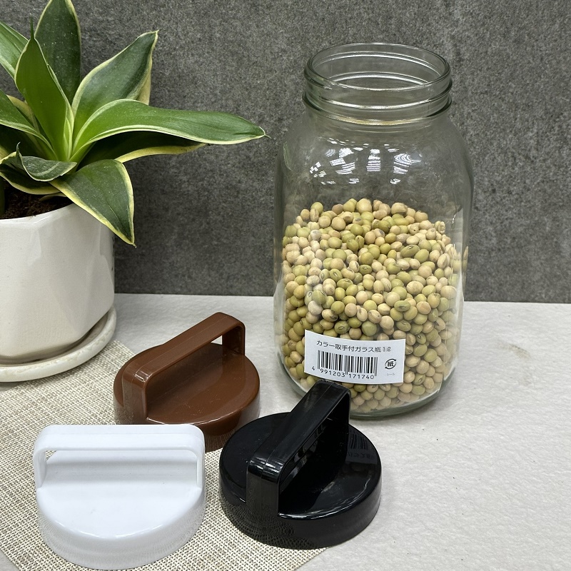 Chai thủy tinh có quai xách Echo Glass Bottle 1.0L - Hàng Nội Địa Nhật Bản