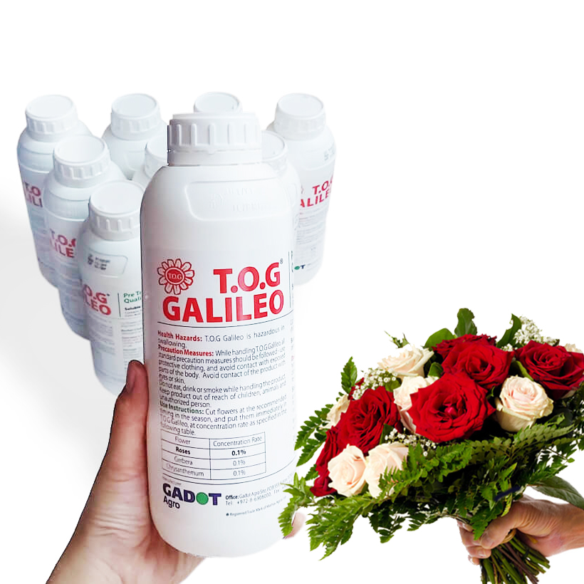 NƯỚC CẮM HOA HỒNG LÂU TÀN nhập khẩu ISAREL dành cho Nhà Vườn Trồng Hoa Grower bảo quản hoa