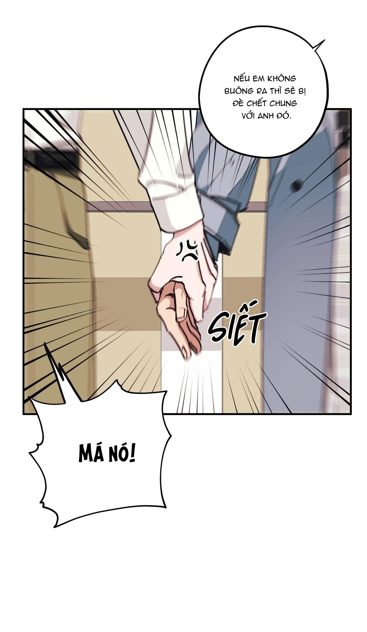 làm dâu nhà tài phiệt họ kang chapter 32 39