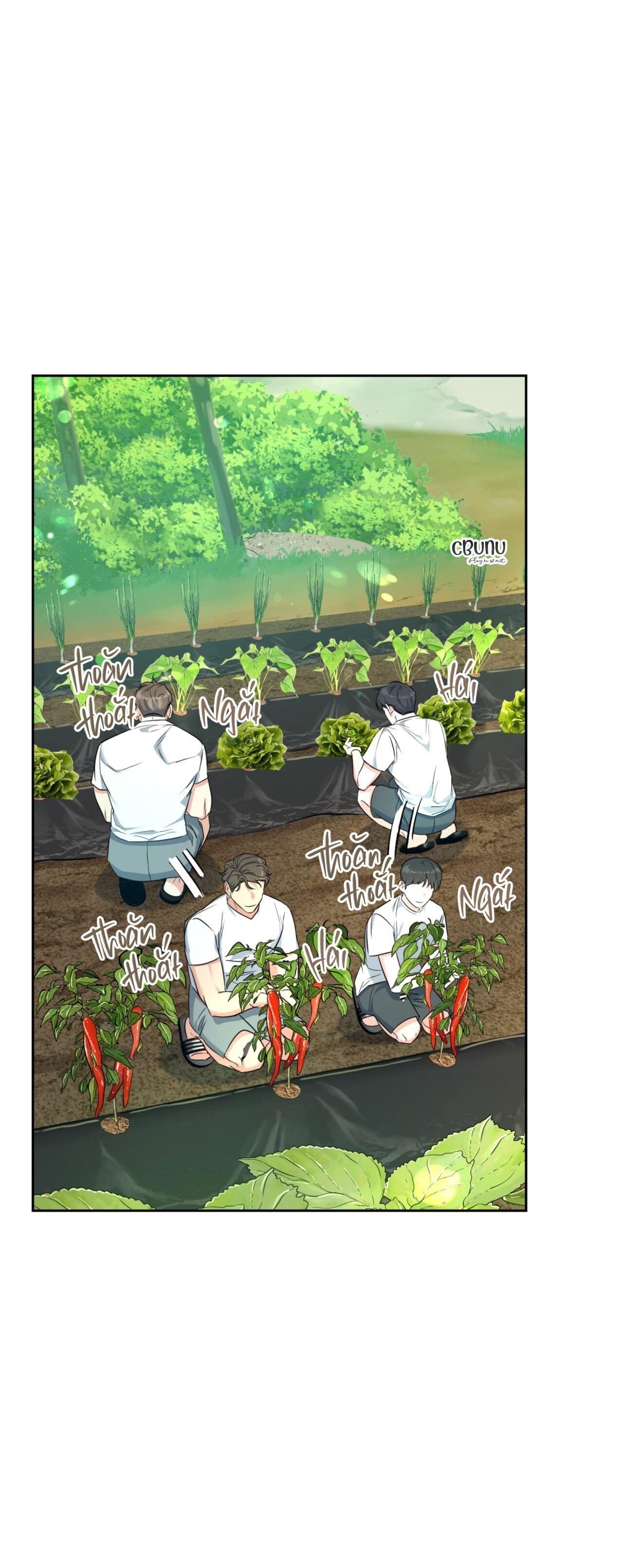 khu rừng tĩnh lặng chapter 3 26