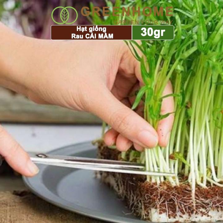 Hạt giống rau Cải mầm, gói 20g, dễ trồng, thu hoạch nhanh R10