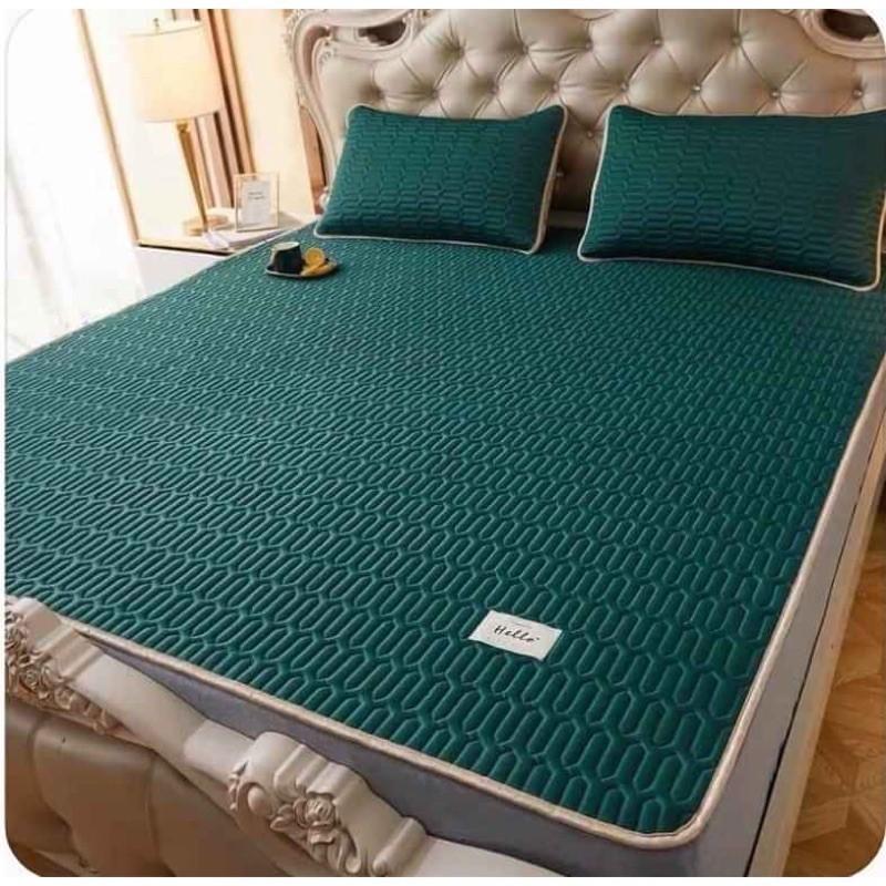 Chiếu điều hoà cao su non Tencel Latex hàng loại 1 siêu cấp.yentai