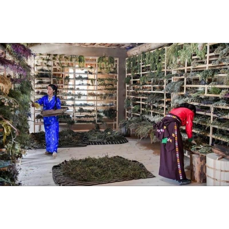Nhang sạch thảo dược dùng trong Thờ Cúng không hóa chất - nhang Potala cải thiện phong thủy nhà ở (Tây Tạng)