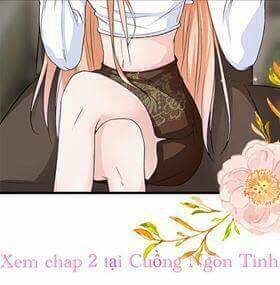 châu tiên sinh, ép cưới là bất hợp pháp đấy chapter 1 27