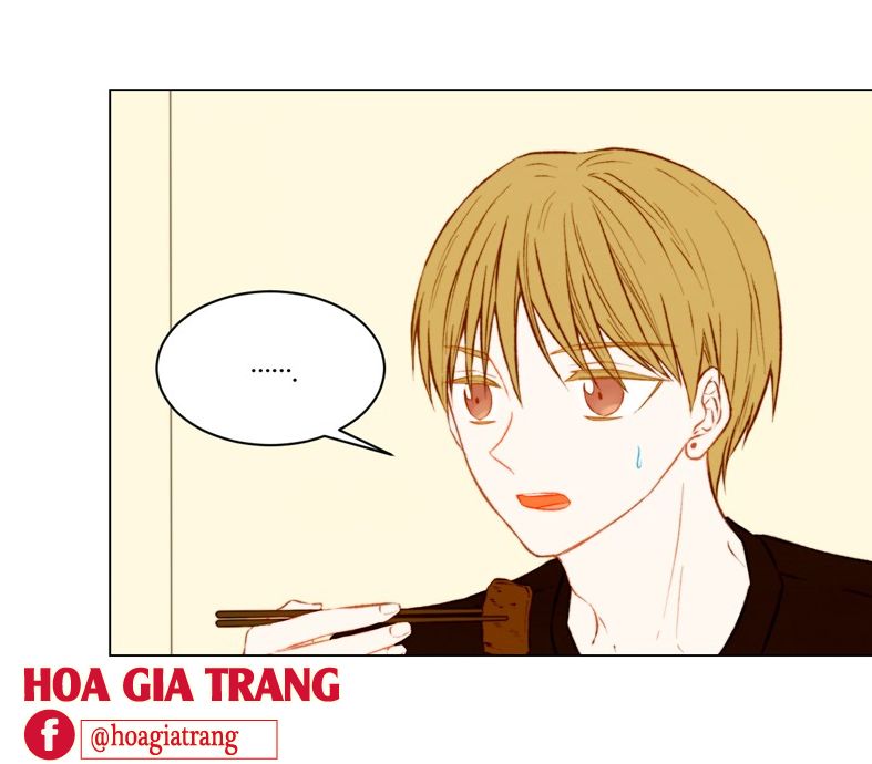 sao chép chapter 62 3