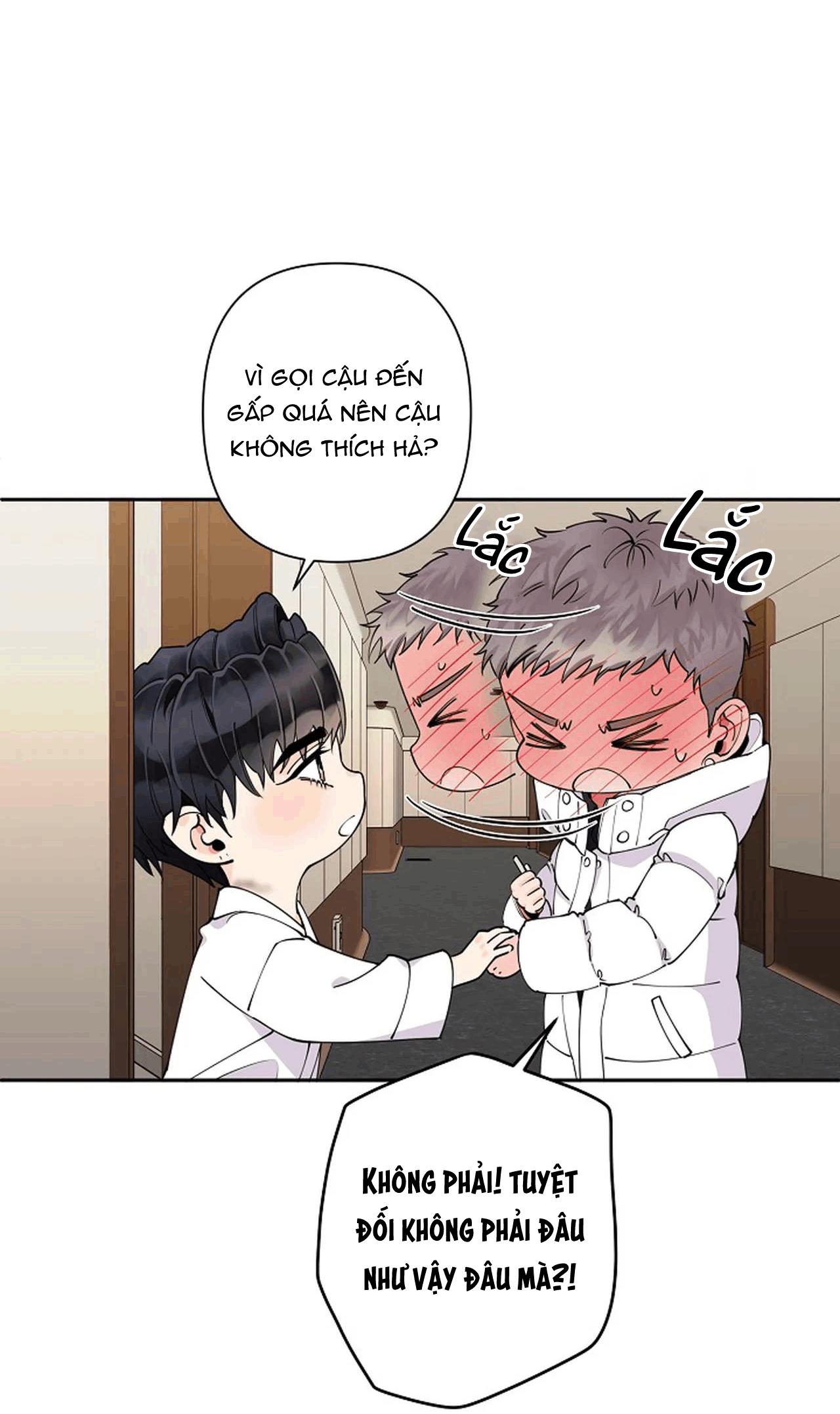 đêm dịu dàng chapter 13 11