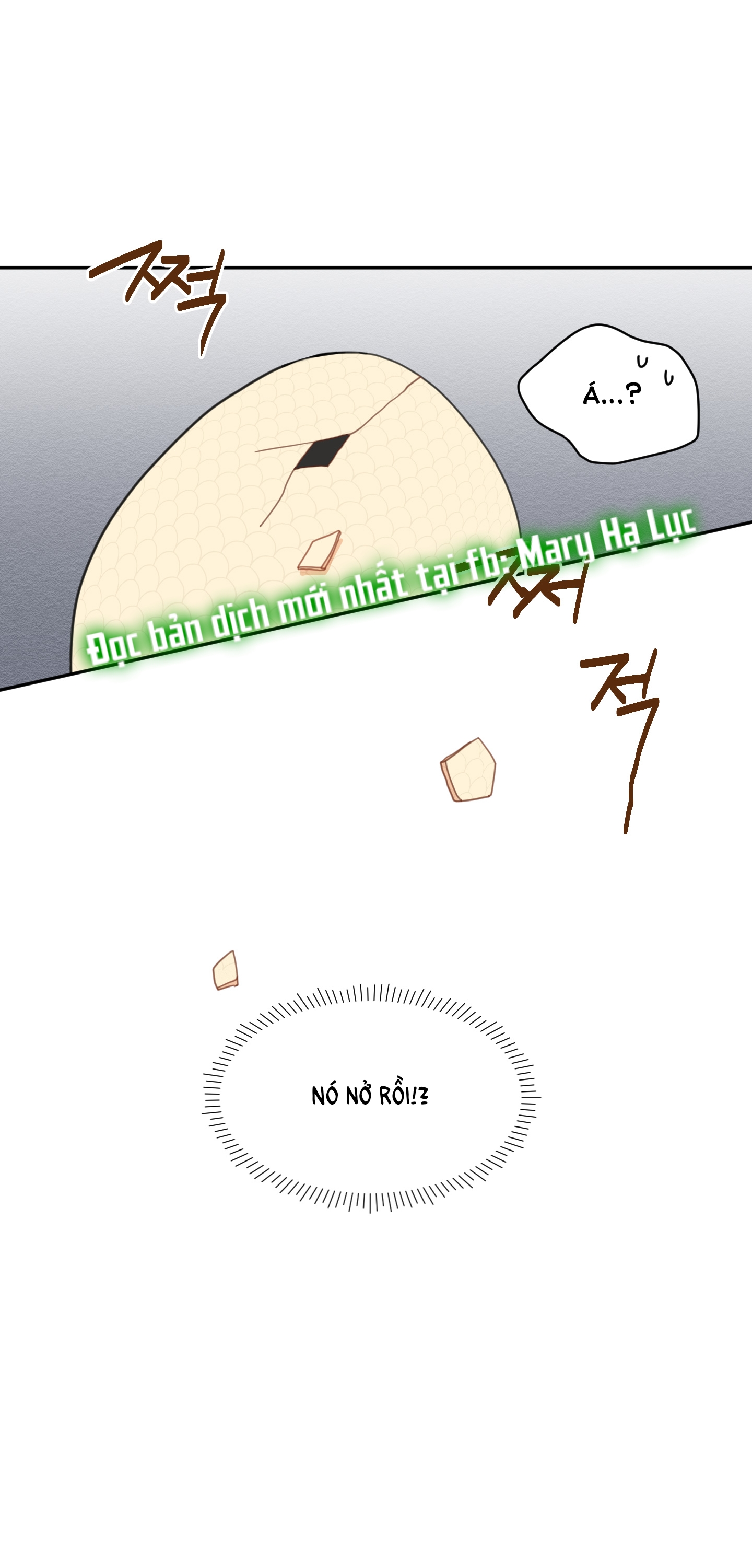 [18+] con đường hoa chuông vàng - liên kiều rơi chốn này chapter 1.2 11