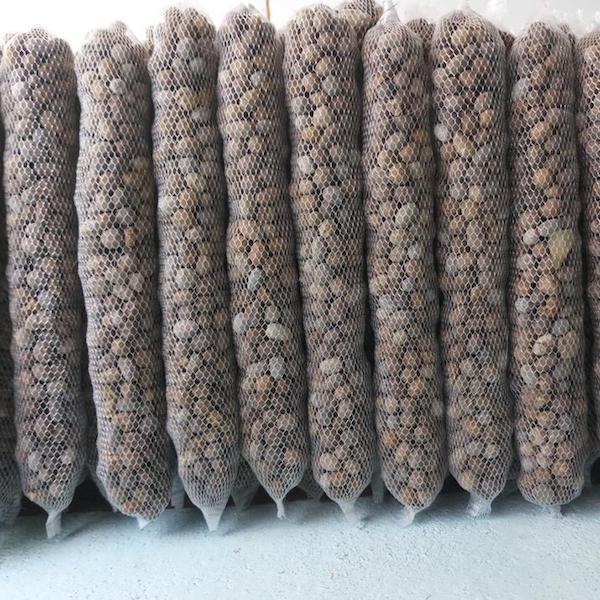 Combo 250g phân dê đã qua xử lý dùng để bón cây trồng, phong lan