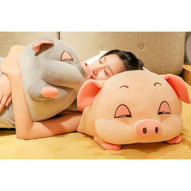 HEO PHÊ CẦN, HEO MẮT HÍP