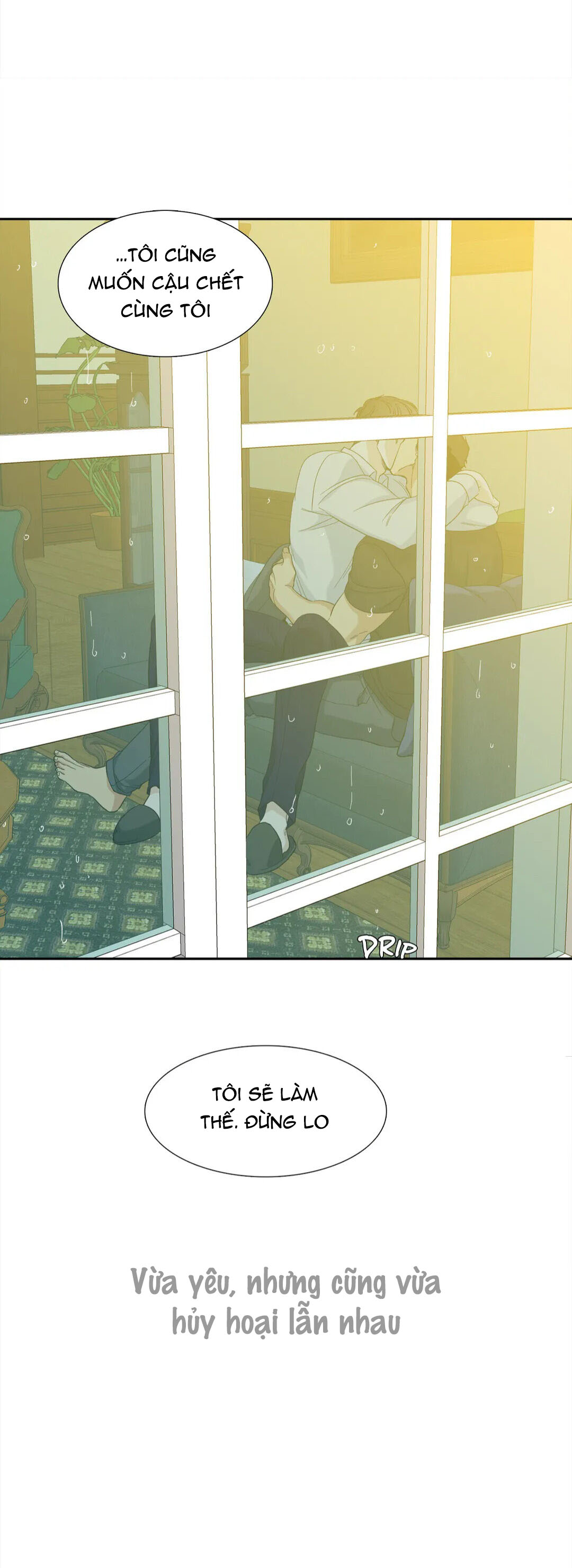 xúc cảm điên cuồng chapter 62.5 11