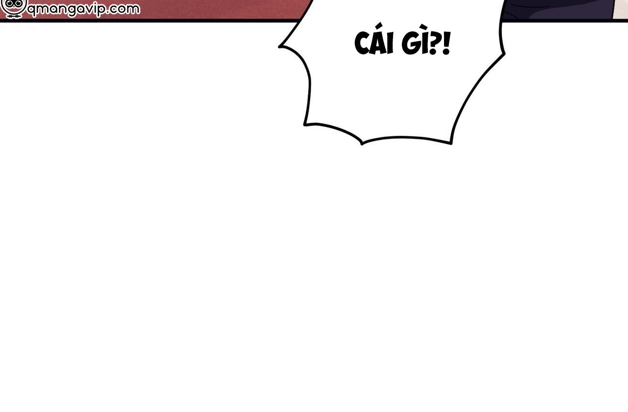 chàng dâu nhà họ kang chapter 42 107
