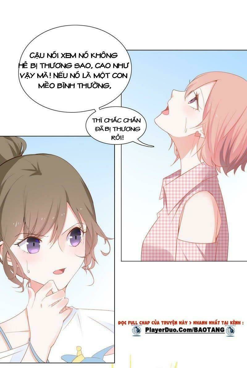 thập nhị hắc miêu chapter 2 19