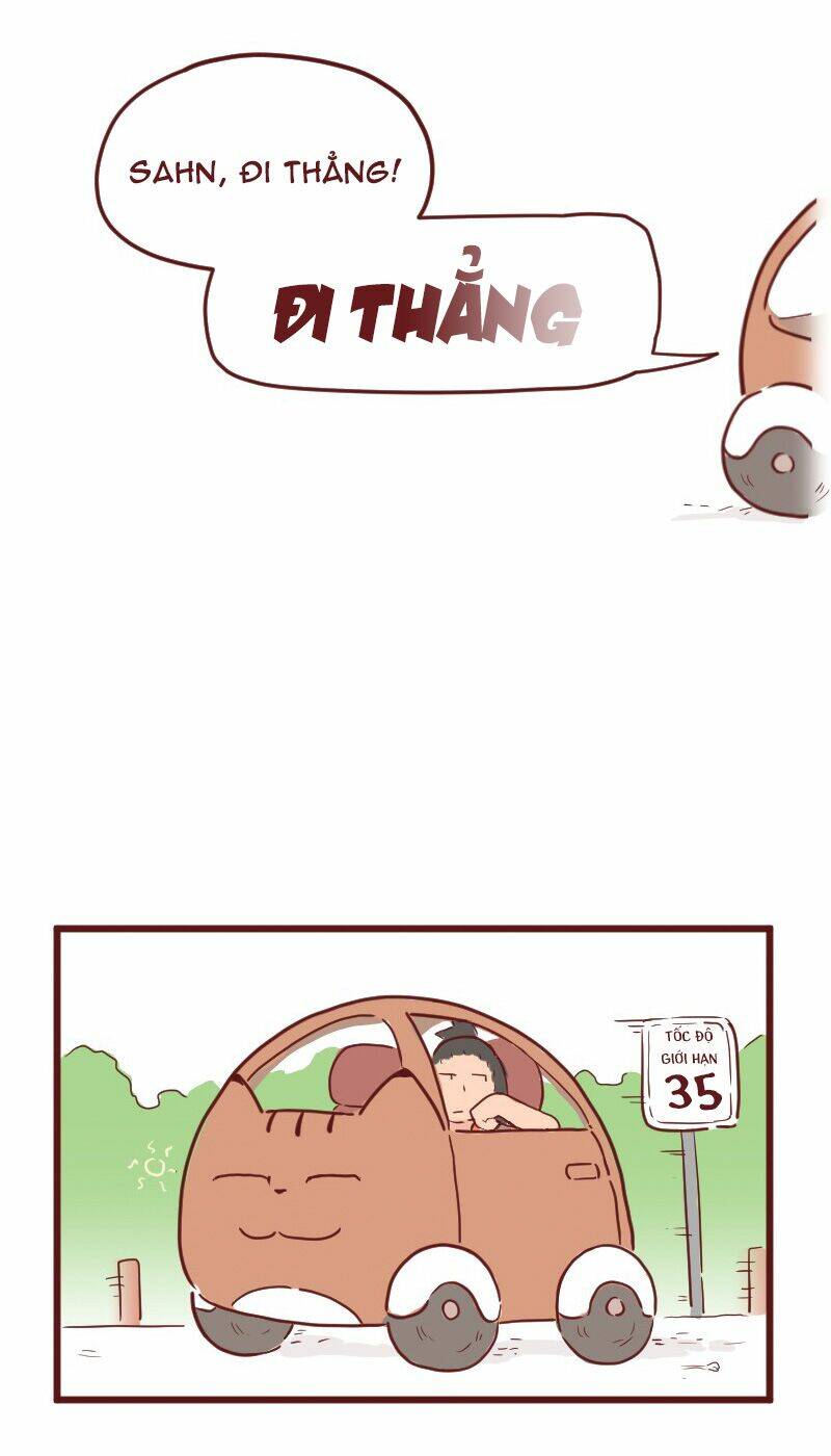 saphie: chú mèo một mắt chapter 26 10